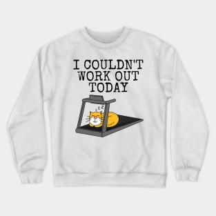 Cat Treadmill, I Couldn't Work Out Today, Fitness Funny Crewneck Sweatshirt